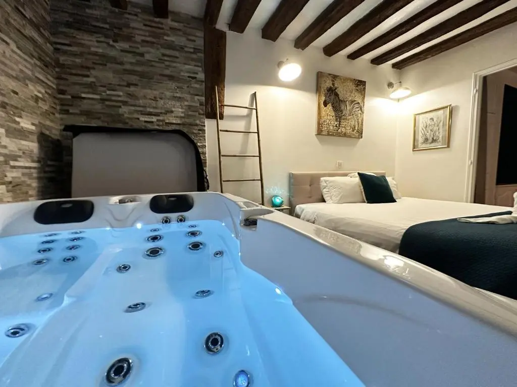 Image de l'annonce Appartement et Jacuzzi privatif, cœur de Chartres.