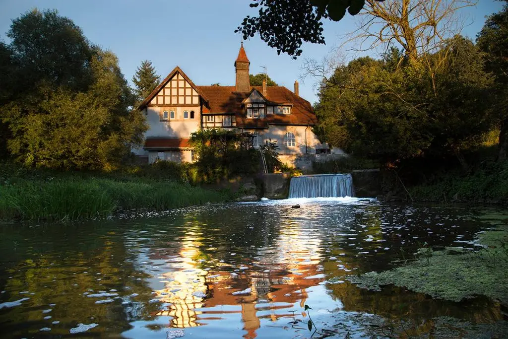 Image de l'annonce Chambre d'hôtes du Moulin de Landonvillers