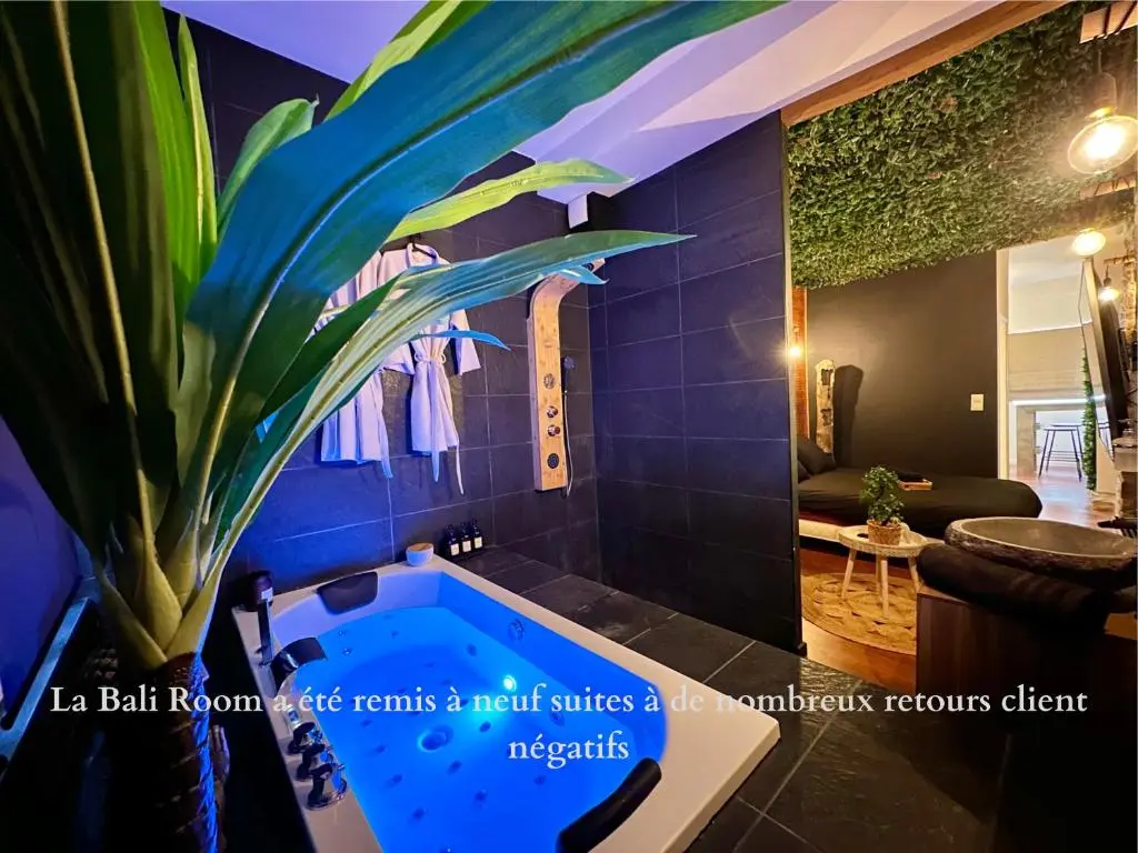 Image de l'annonce Bali Room