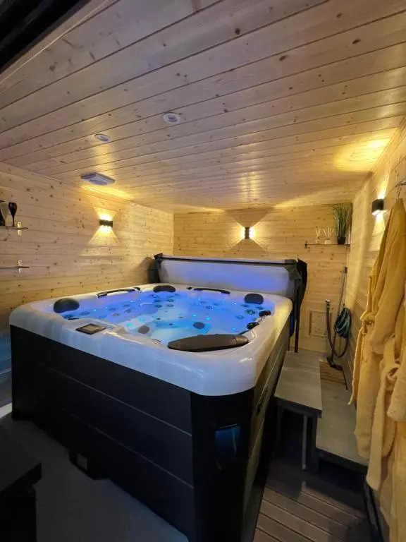 Image de l'annonce Les suites de Stanislas jacuzzi & spa