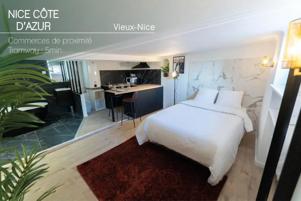 Image de l'annonce Vieux nice - Loft - Balnéo