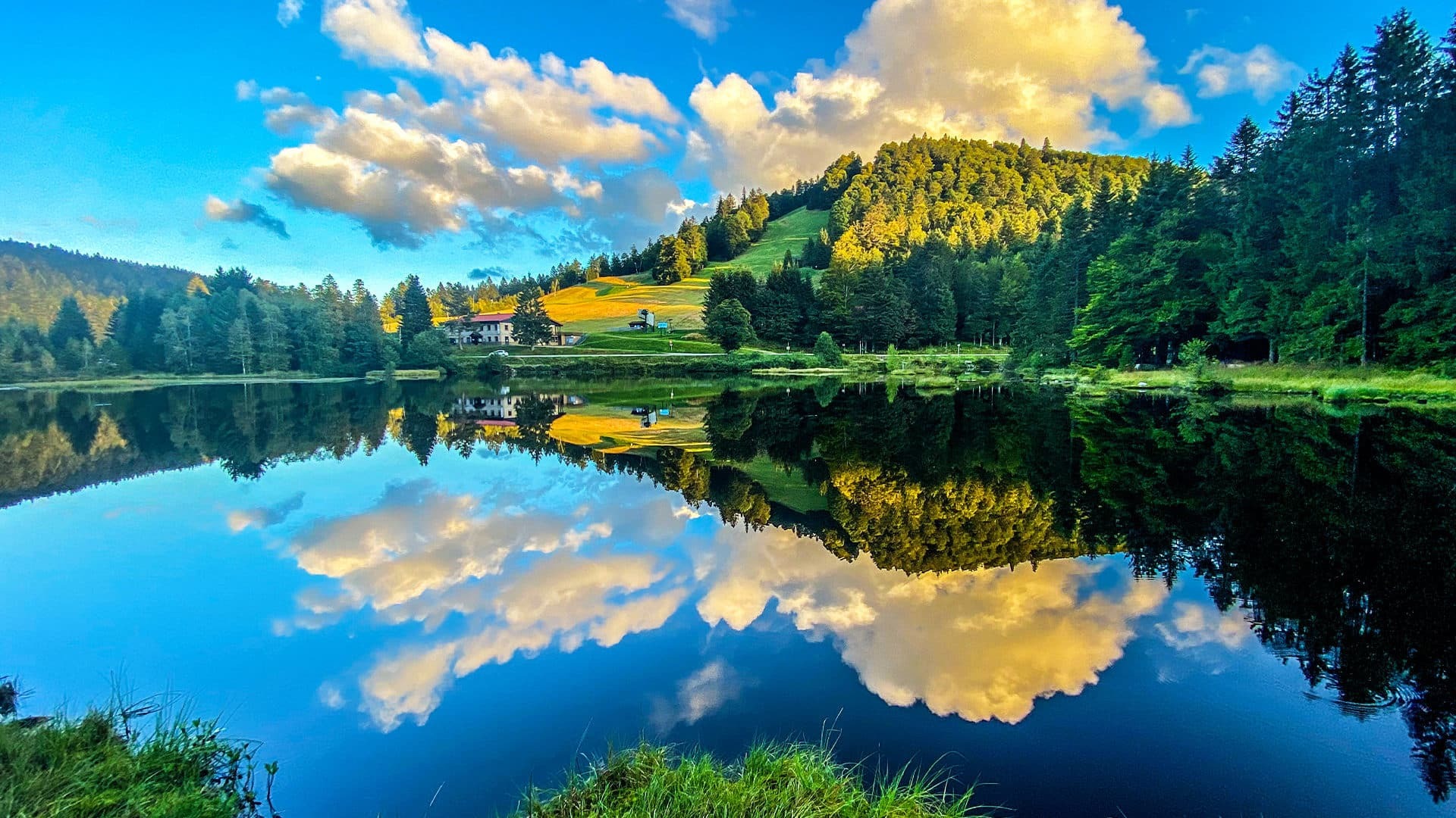 Lac dans les Vosges